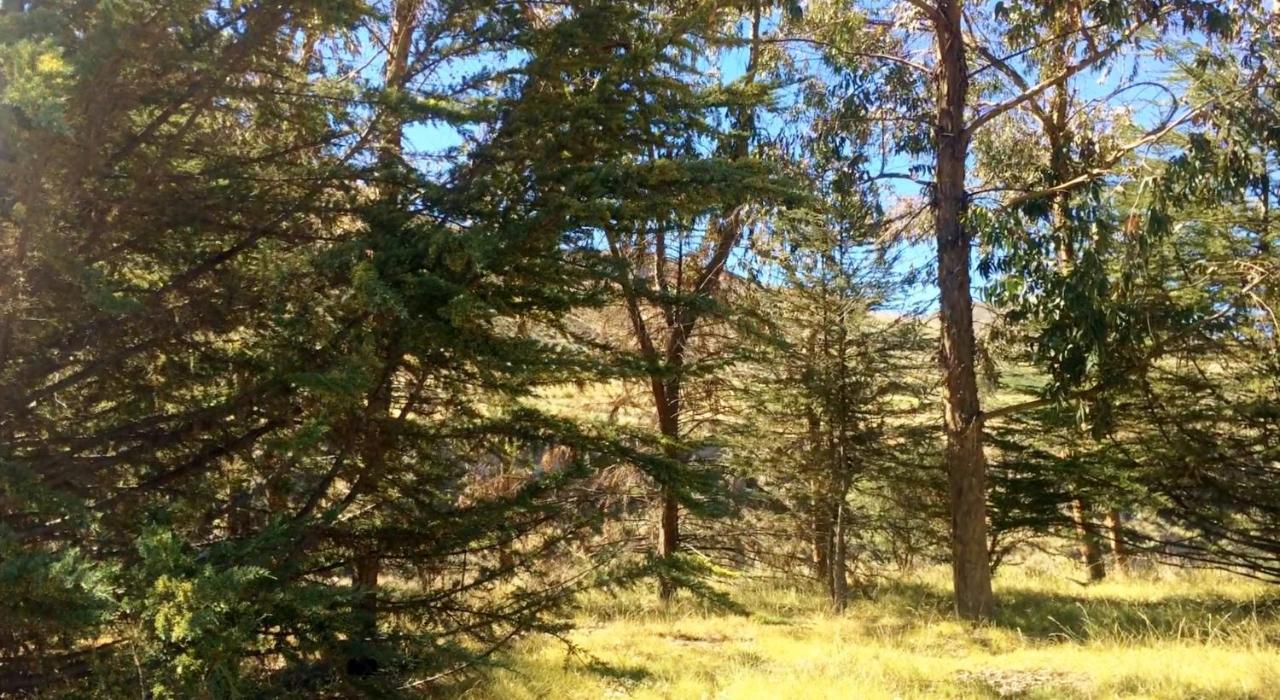 La Chakana Lodge Путре Екстериор снимка